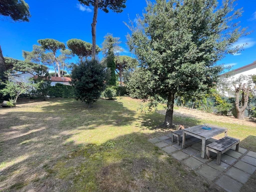 Pineta Apartament Tirrenia Exteriér fotografie