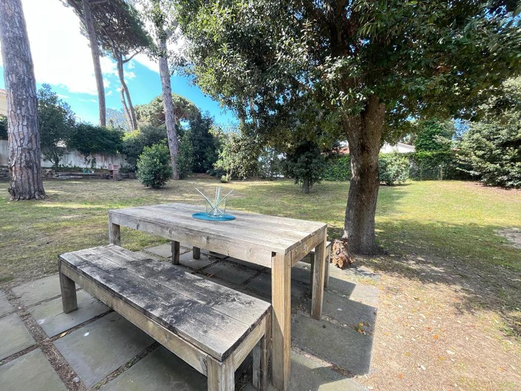 Pineta Apartament Tirrenia Exteriér fotografie