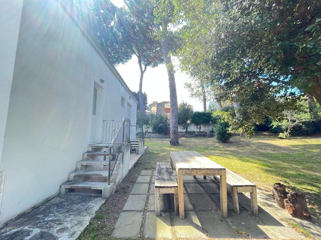 Pineta Apartament Tirrenia Exteriér fotografie