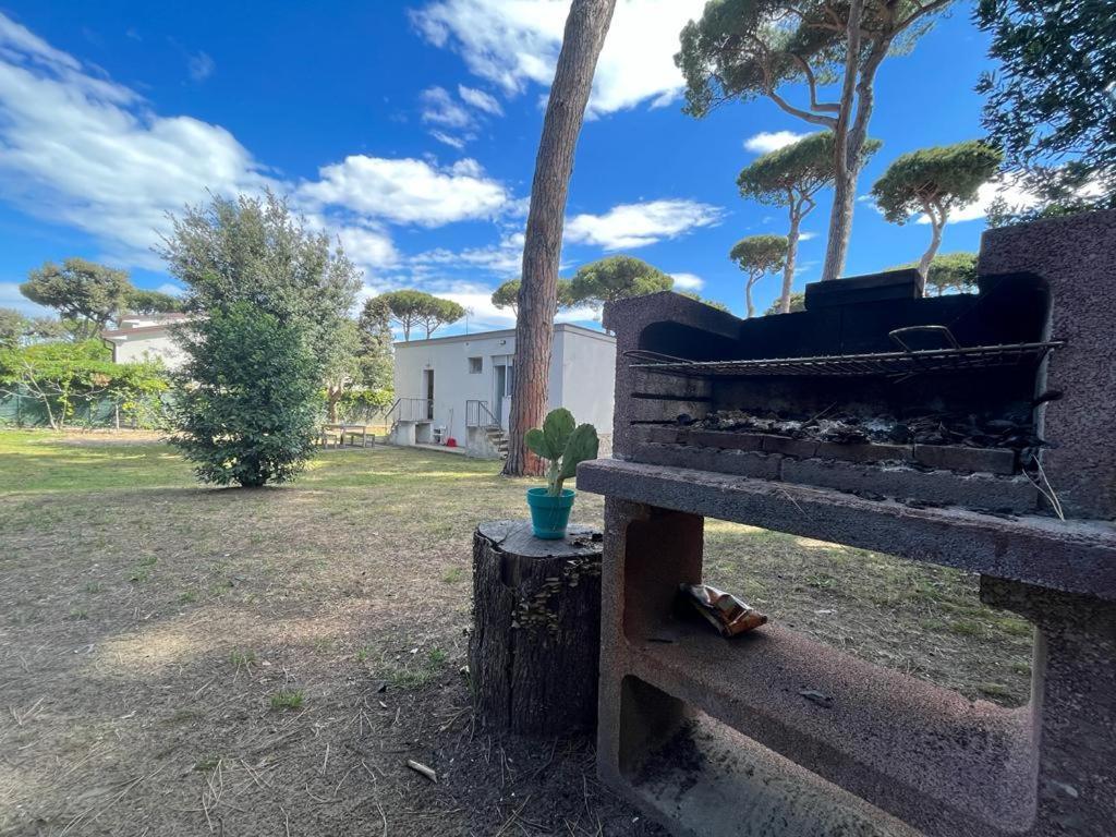 Pineta Apartament Tirrenia Exteriér fotografie